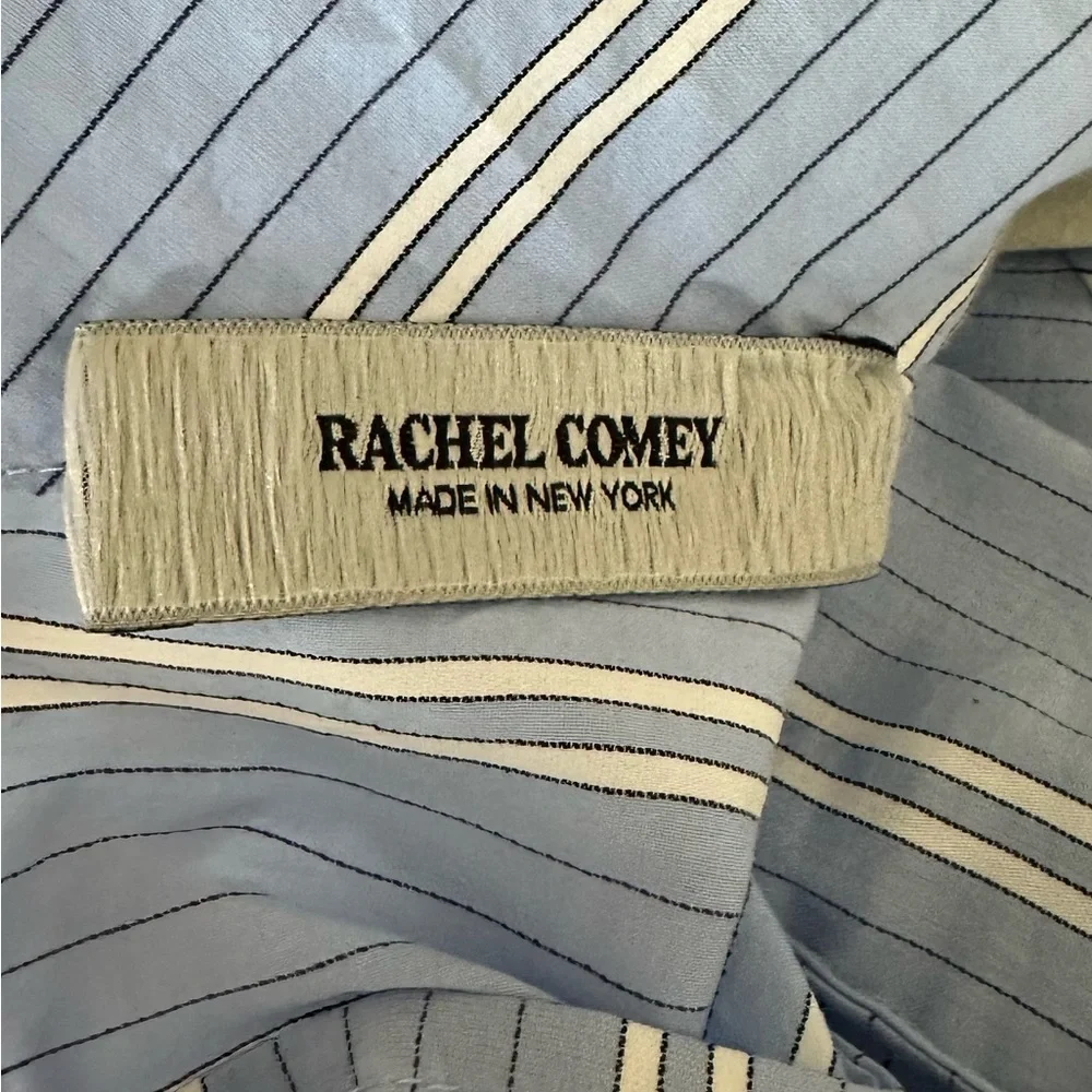 Rachel Comey Blue and White Bishop Sleeve Agathon dress oversized 8 - Picture 8 of 10